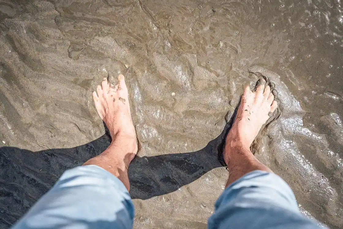 ferienhaus ku galrie ku pellworm auszeit urlaub nordseeinsel füße im watt